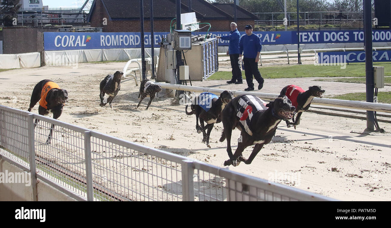 Greyhound Racing Track High Resolution Stock Photography And Images Alamy