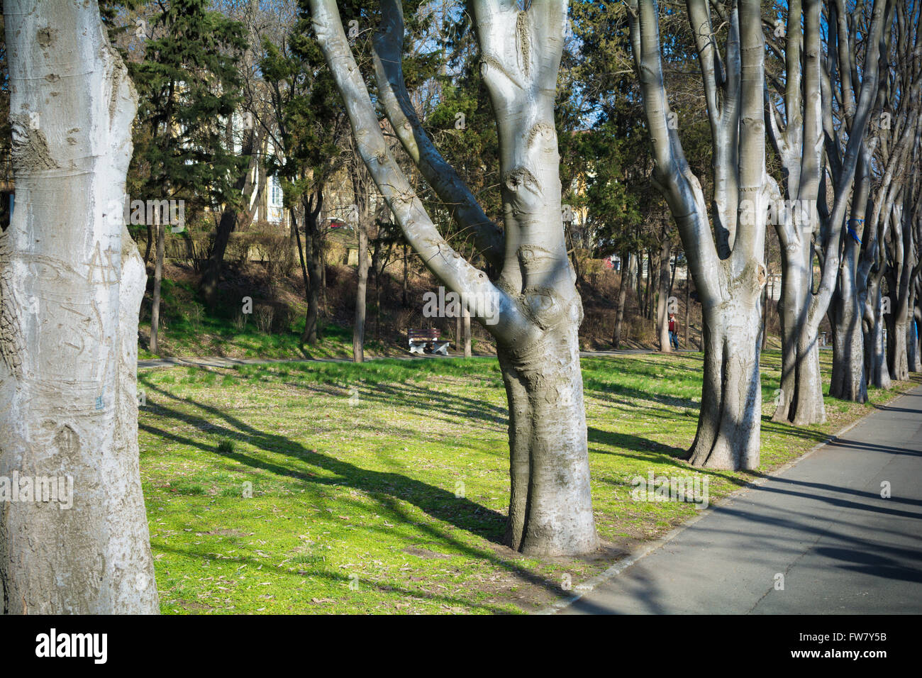 Beautiful green park hi-res stock photography and images - Alamy