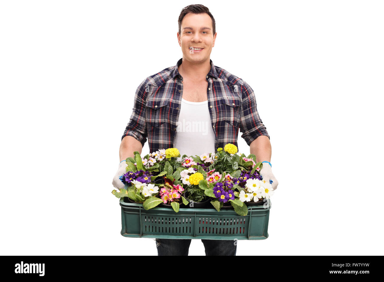 Young cheerful gardener holding a plastic crate full of beautiful flowers isolated on white background Stock Photo