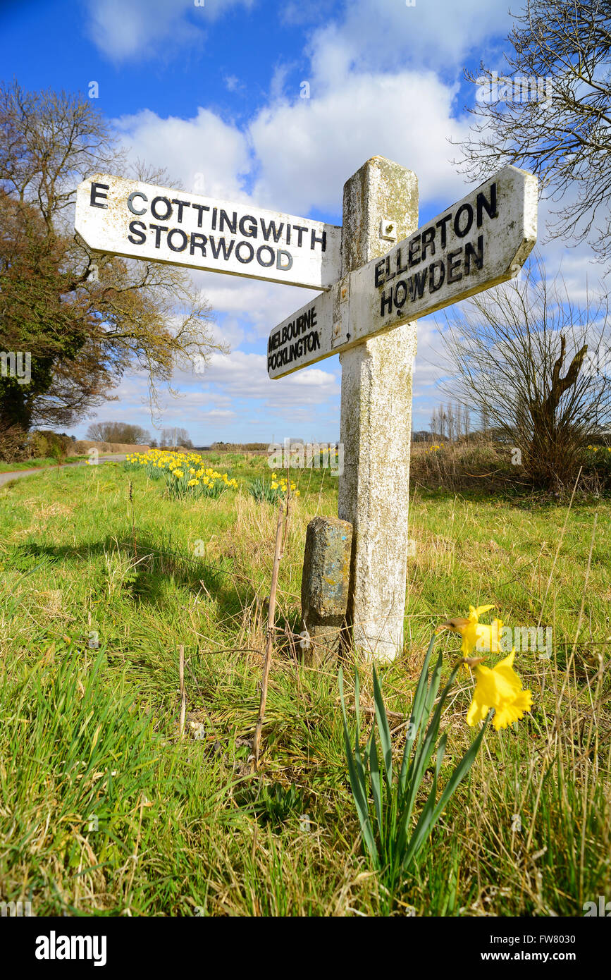 springtime daffodils by old fashioned roadside signpost near ease cottingworth east riding of yorkshire Stock Photo