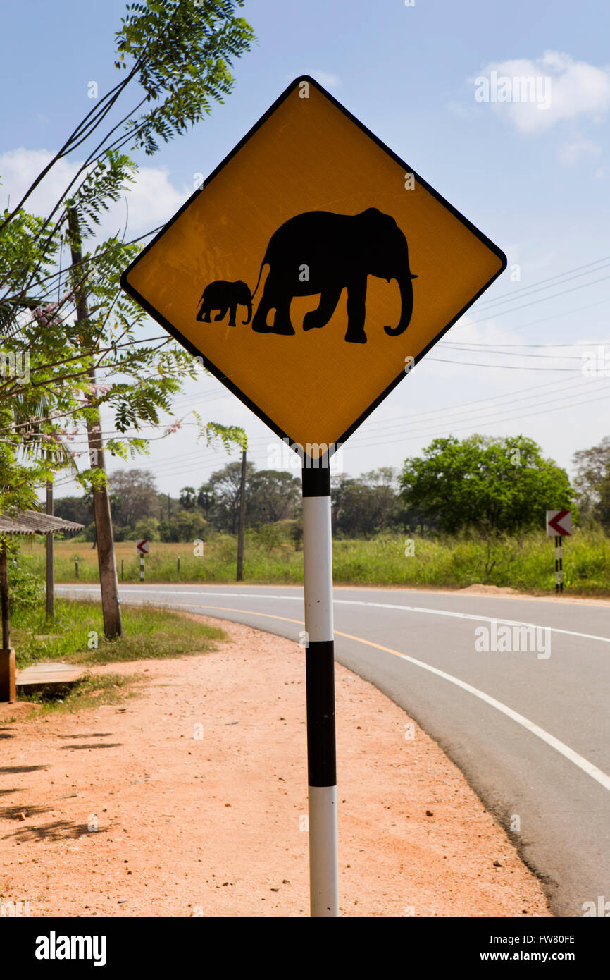 Road Sign Elephants Crossing High Resolution Stock Photography And Images Alamy