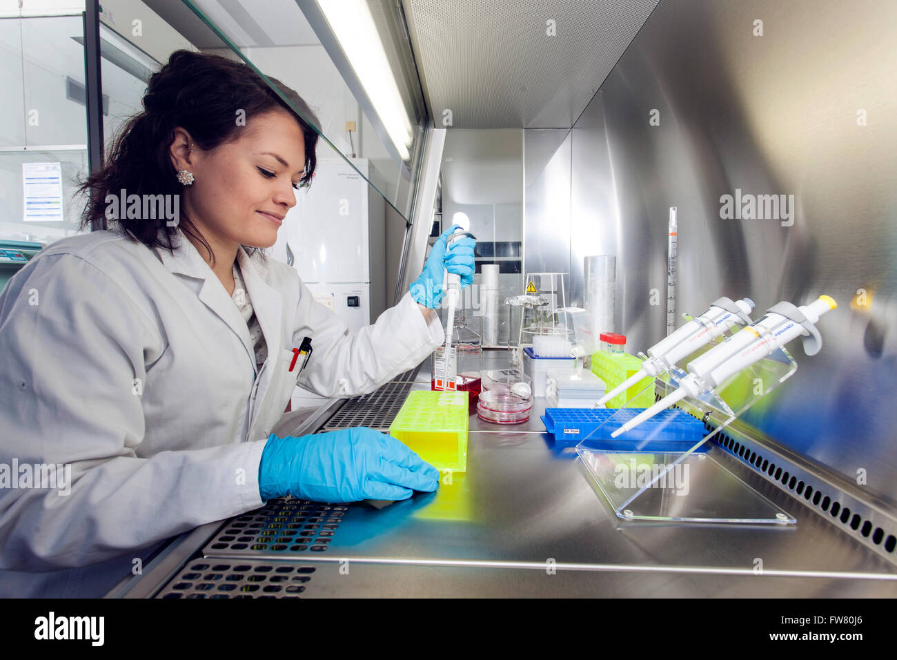 Scientist in a laboratory during pipetting. Stock Photo