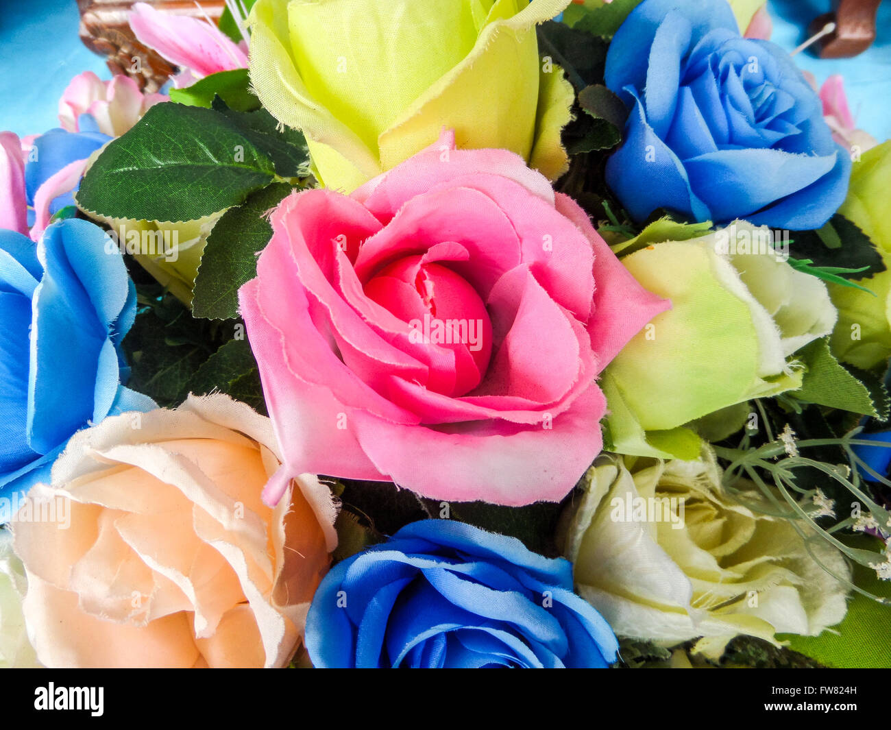 Compass Roses 3 Color Rose three color on top made by nylon Stock Photo - Alamy
