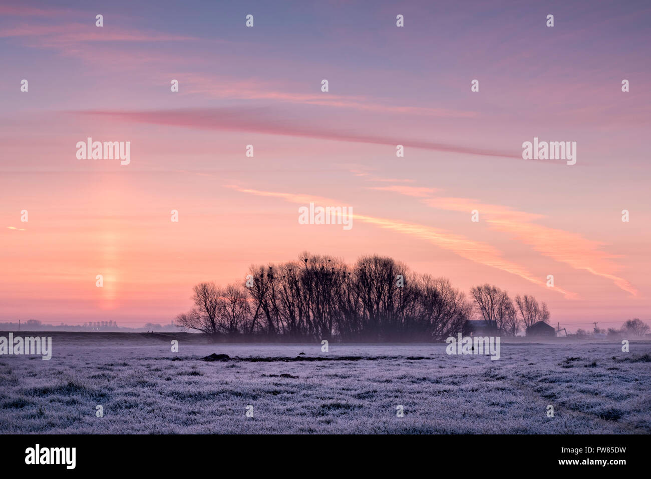 Willingham, Cambridgeshire, UK. 1st April, 2016. a cold, misty start to the day in the flat, fenland farmland at Willingham, Cambridgeshire UK. A clear sky led to an overnight frost. The weather is forecast to be warmer over the coming weekend. Credit:  Julian Eales/Alamy Live News Stock Photo