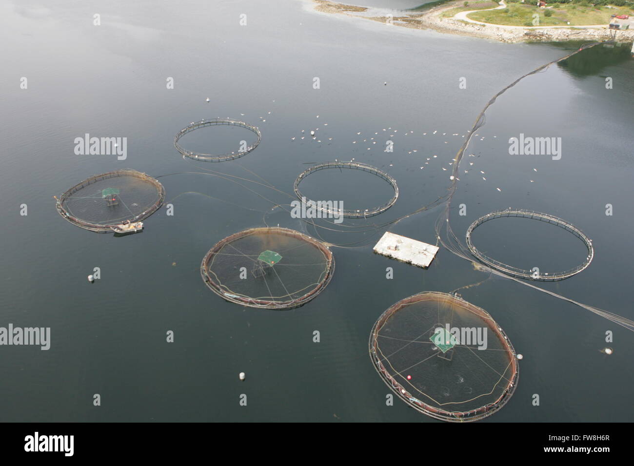 aerial image of fish farm West Coast of Scotland Stock Photo