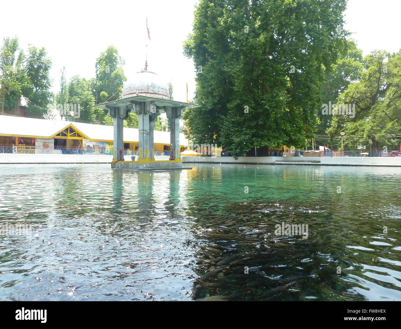 Pond in the premises of Gurudwara Nanak Dev Ji, Mattan, Anantnag, Kashmir, India Stock Photo