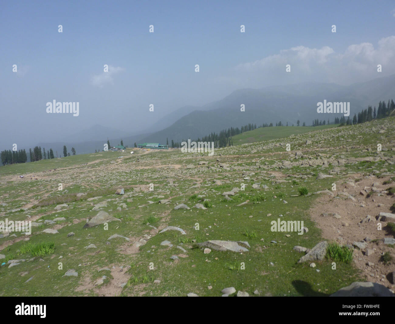 Khillenmarg meadow, Kashmir, India, Alpine meadow above Gulmarg with beautiful patches of Irises, Euphorbias, shrub Rhododendron Stock Photo