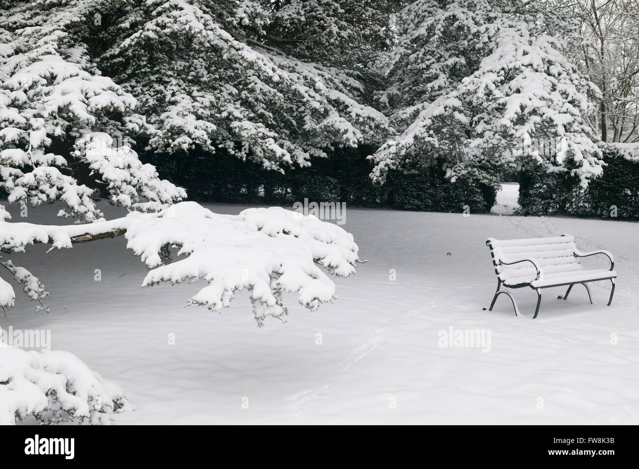 A park bench covered in a thick layer of snow Stock Photo - Alamy