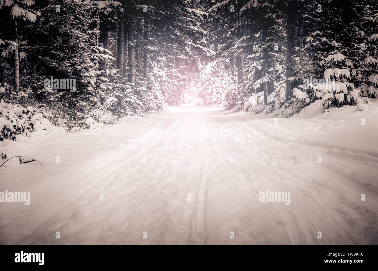 Winter landscape. Road covered in snow in dense forest Stock Photo - Alamy