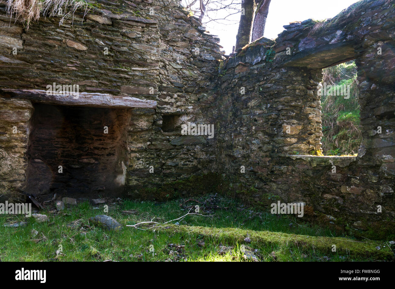 Ruins of old cottage interior fireplace in Ardara, County Donegal, Ireland Stock Photo