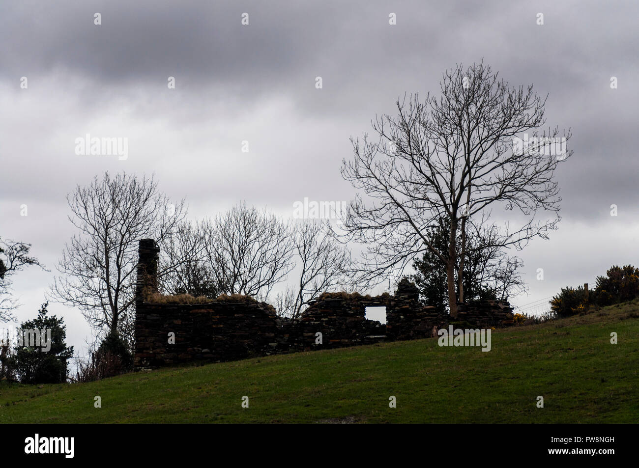 Ruins of old cottage now used as barns or sheep pens in Ardara, County Donegal, Ireland Stock Photo