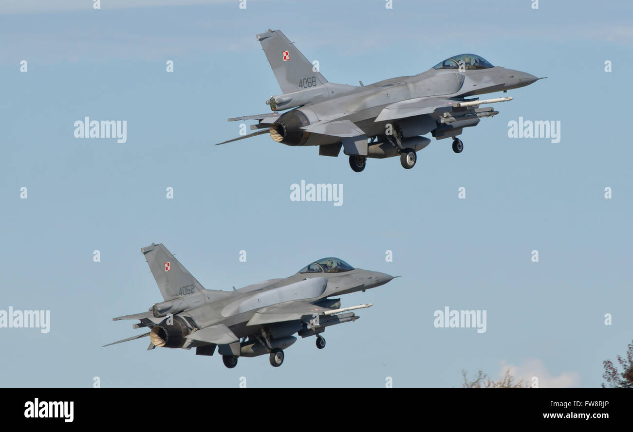 A pair of Polish Air Force F-16 Block 52+ during TLP in Spain. Stock Photo