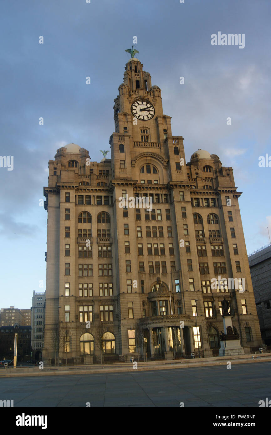 Liver building, Liverpool Stock Photo - Alamy