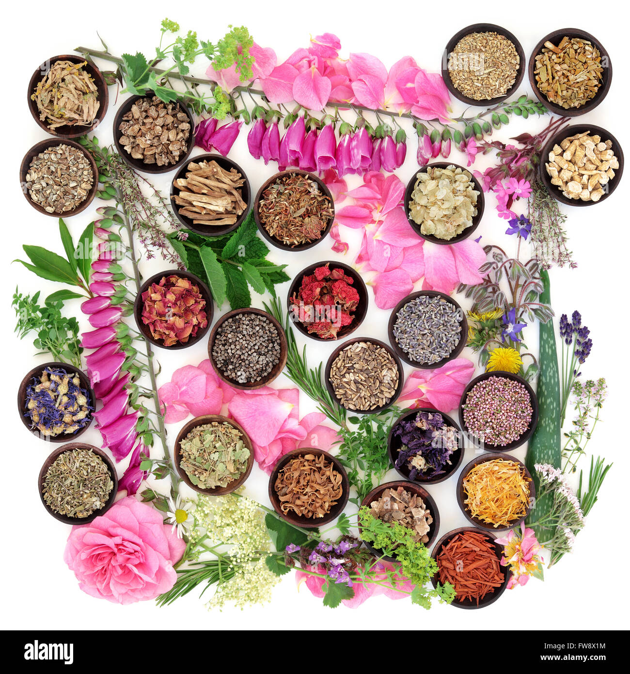 Medicinal flower and herb selection of summer used in alternative