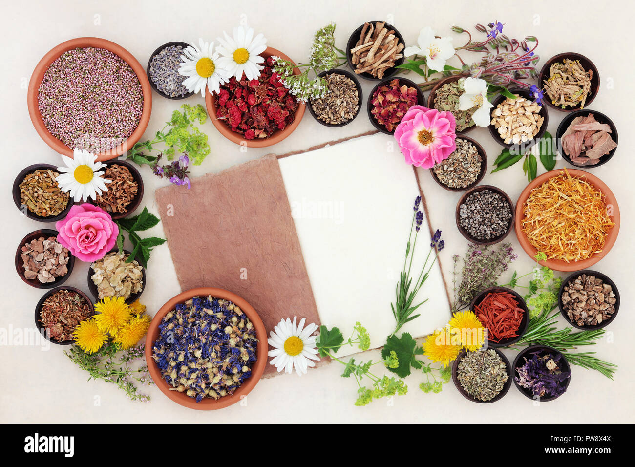 Health care using herbal medicine flower and herb selection with hemp notebook over cream paper background. Stock Photo