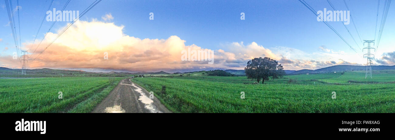 Panorama of meadow in countryside over cloudy sky with  storm clouds after the storm. Panoramic landscape Stock Photo