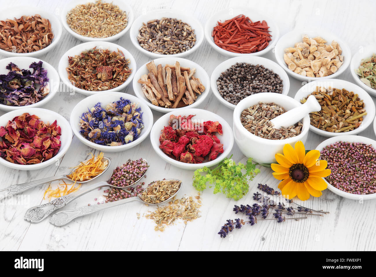 Herb and flower selection used in natural herbal medicine with mortar and pestle over distressed
