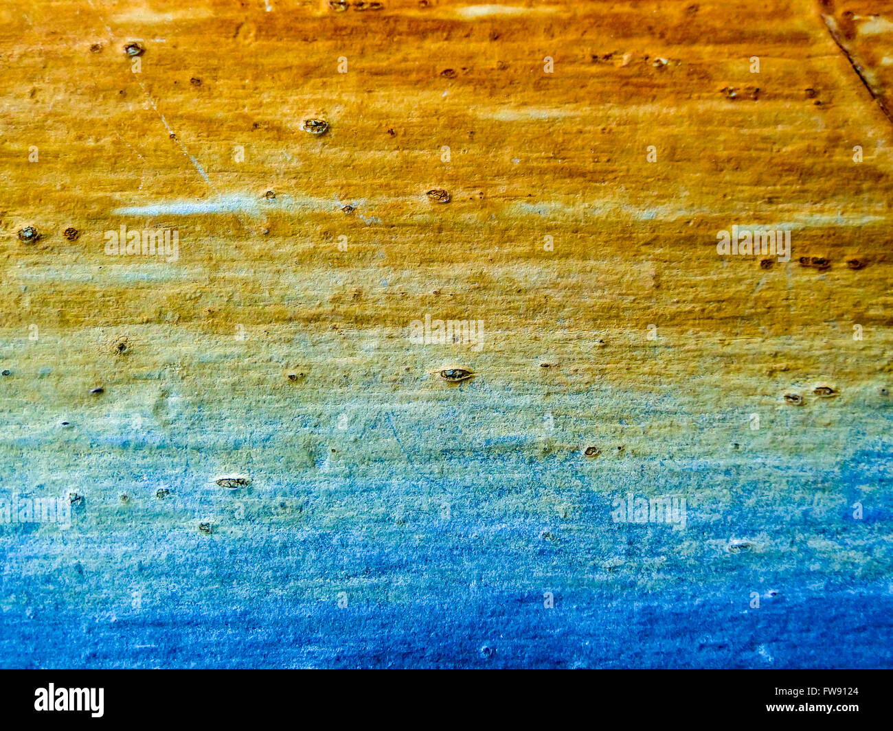 palm tree surface show two color when recieve water from an artesian