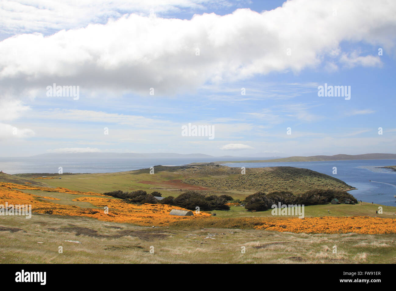 The view over West Point Island, Falkland Islands Stock Photo