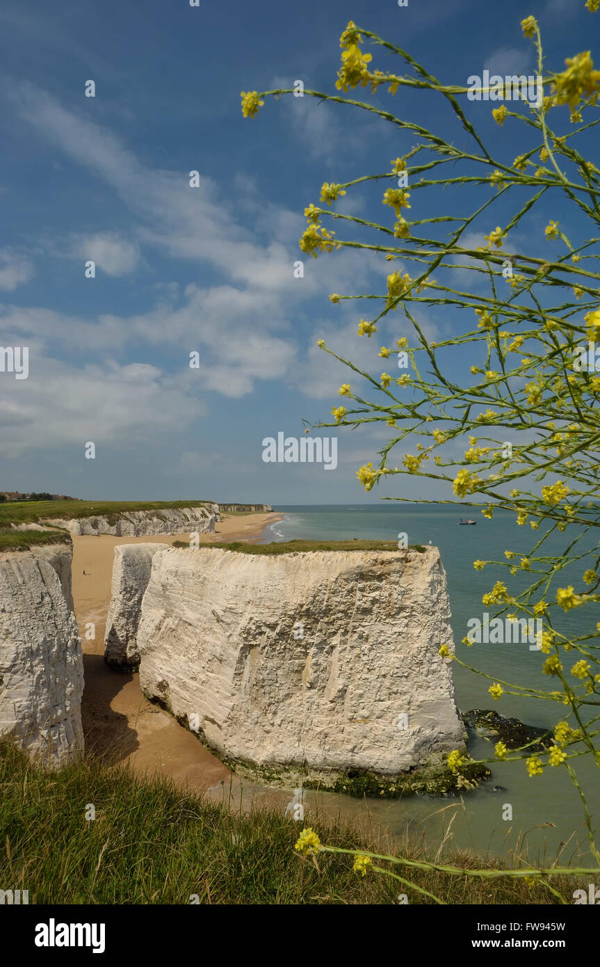 Botany Bay near Broadstairs in Kent. England. UK. Europe Stock Photo Alamy