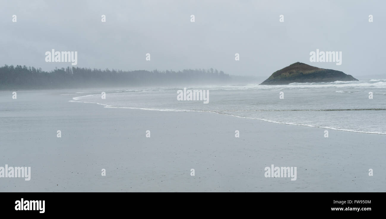 View of a beach, Long Beach, Pacific Rim National Park Reserve, Vancouver Island, Tofino, British Columbia, Canada Stock Photo