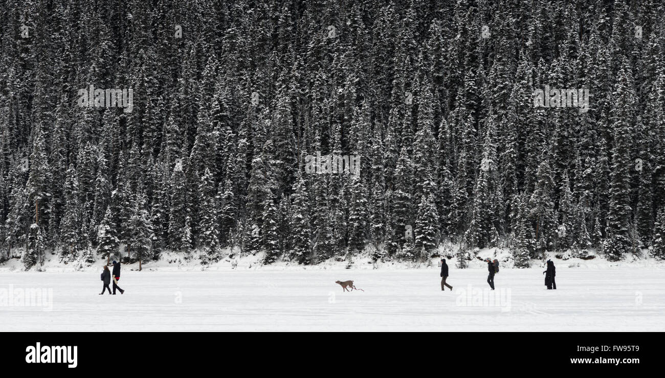 People walking in deep snow, Banff National Park, Alberta, Canada Stock Photo