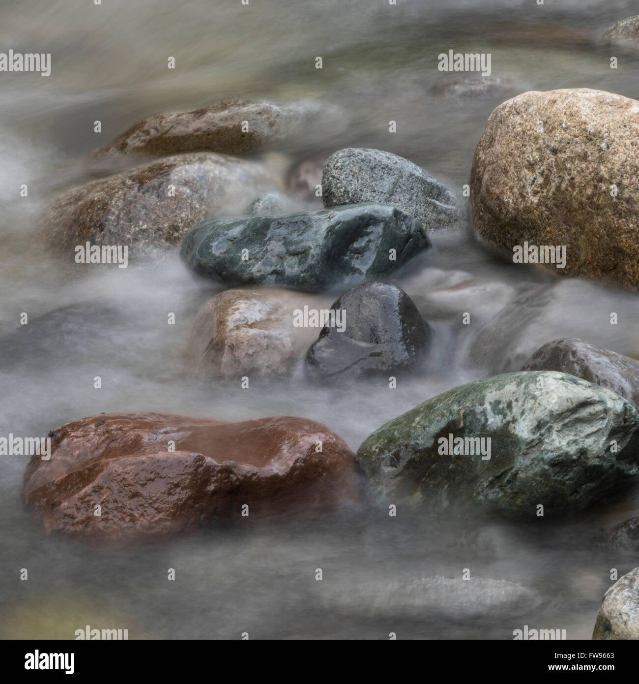 View of rocks in river, Whistler, British Columbia, Canada Stock Photo ...