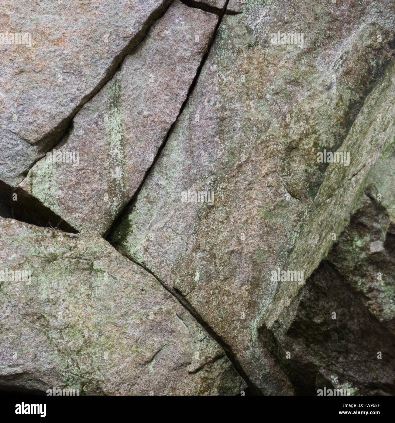 Close-up of rocks, Whistler, British Columbia, Canada Stock Photo - Alamy