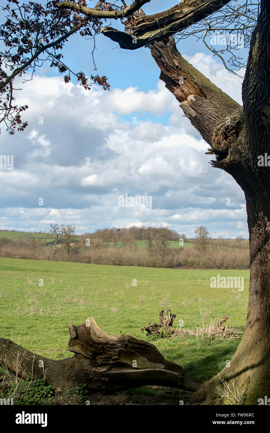 english countryside Stock Photo