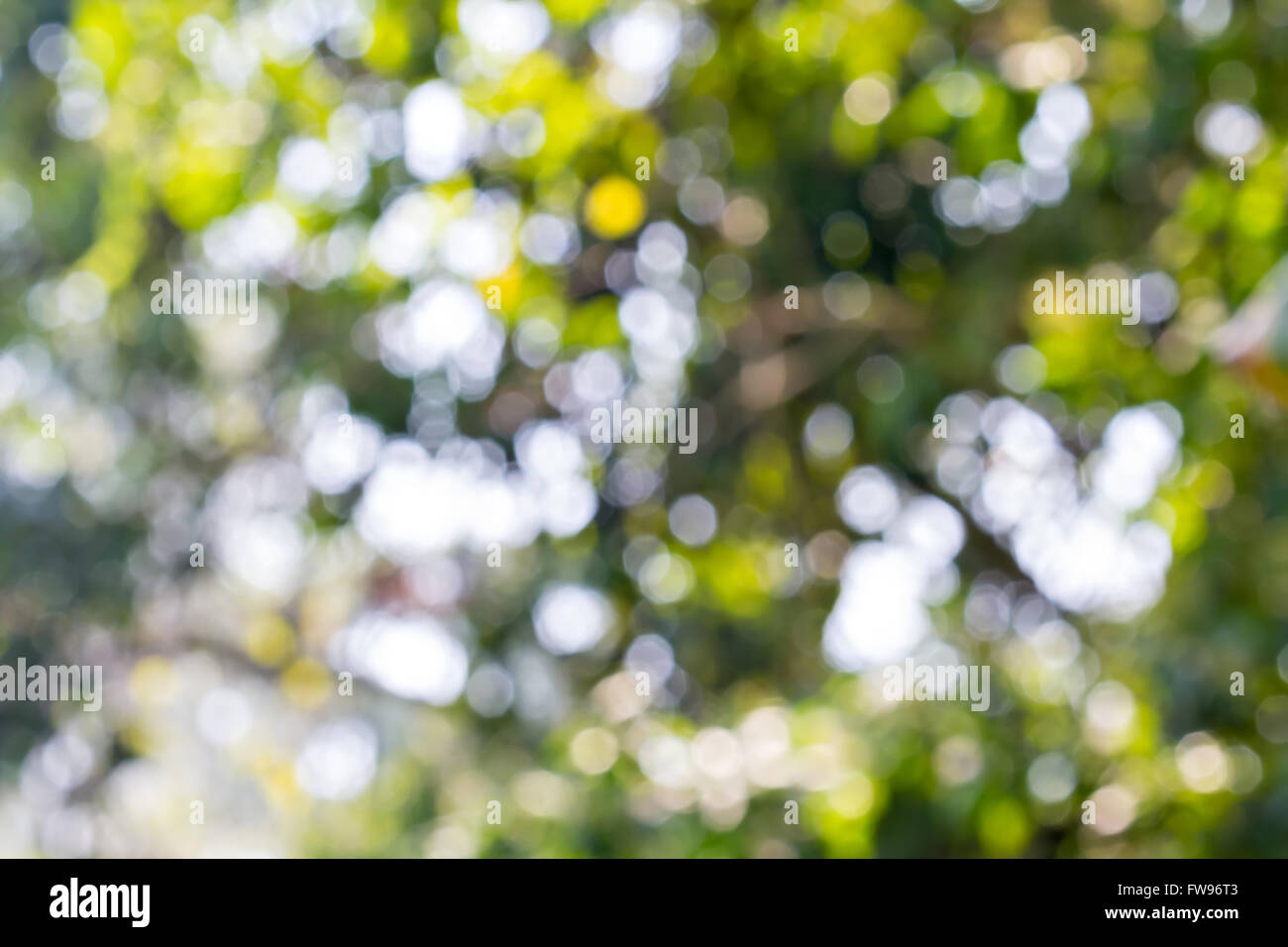 defocused abstract lights Stock Photo - Alamy
