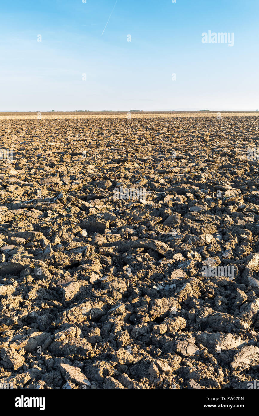 Plowed agricultural arable land Stock Photo - Alamy