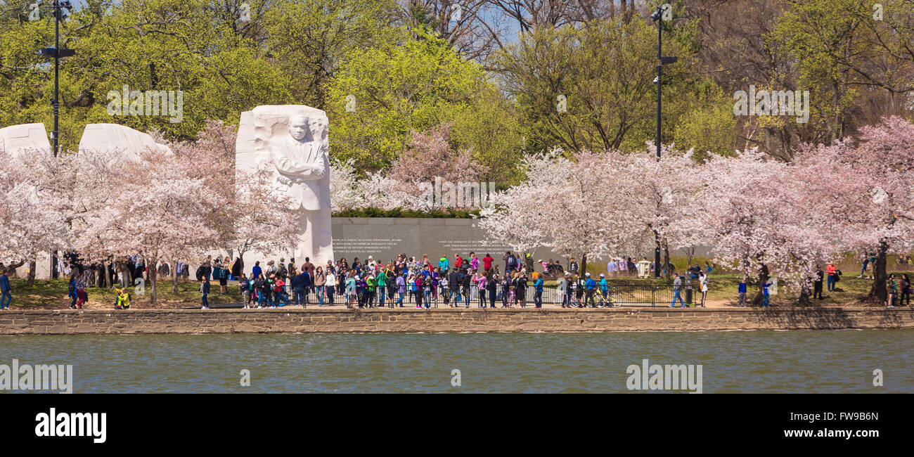WASHINGTON, DC, USA - Martin Luther King, Jr. Memorial and cherry trees blossoming at Tidal Basin. Stock Photo