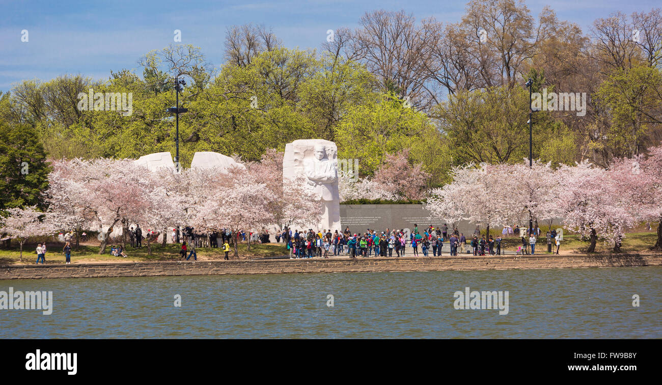WASHINGTON, DC, USA - Martin Luther King, Jr. Memorial and cherry trees blossoming at Tidal Basin. Stock Photo