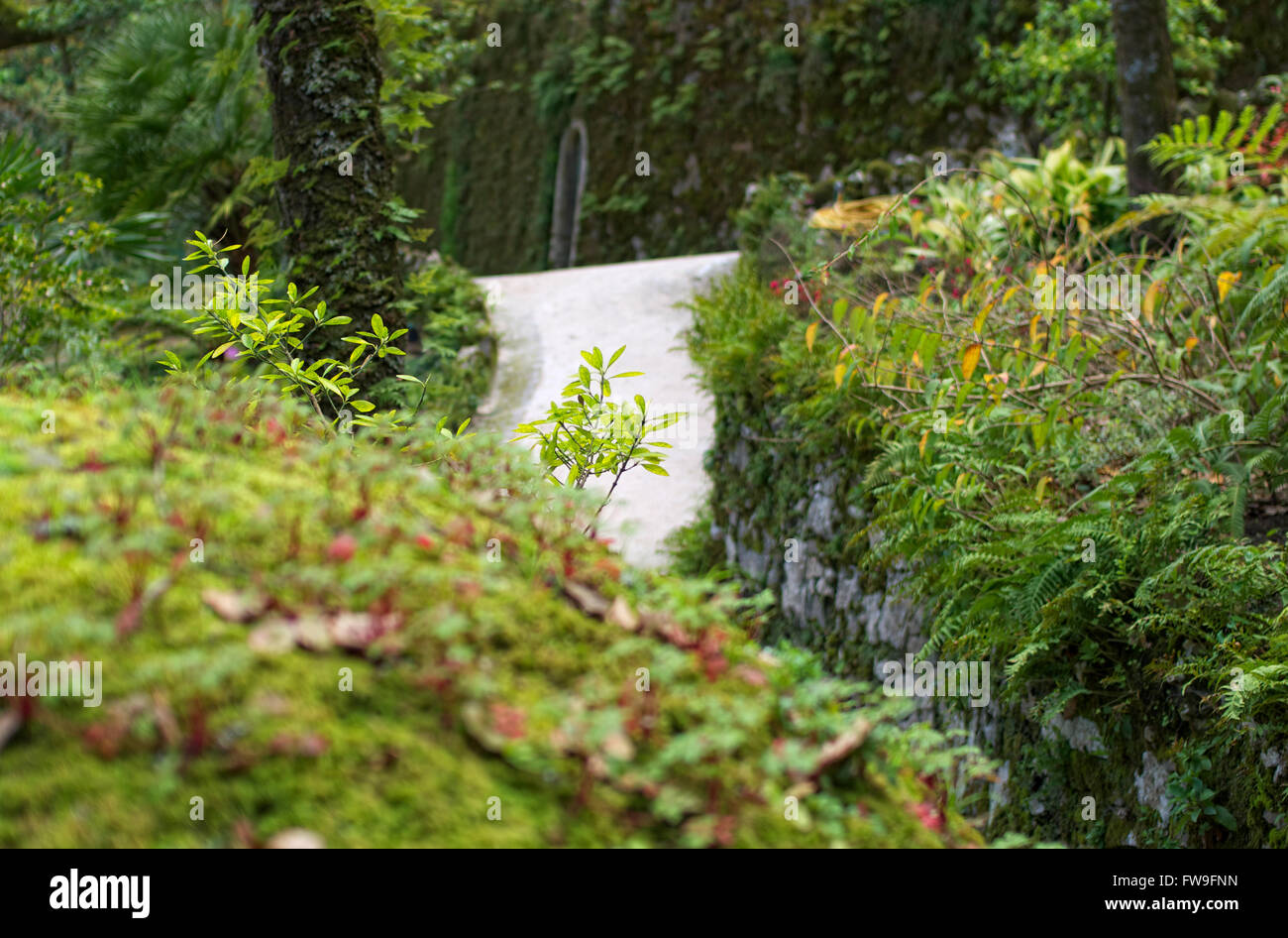 Detail of gardens, Quinta da Regaleira, Sintra, Portugal Stock Photo