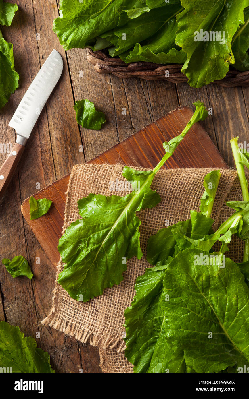 Turnip greens hires stock photography and images Alamy