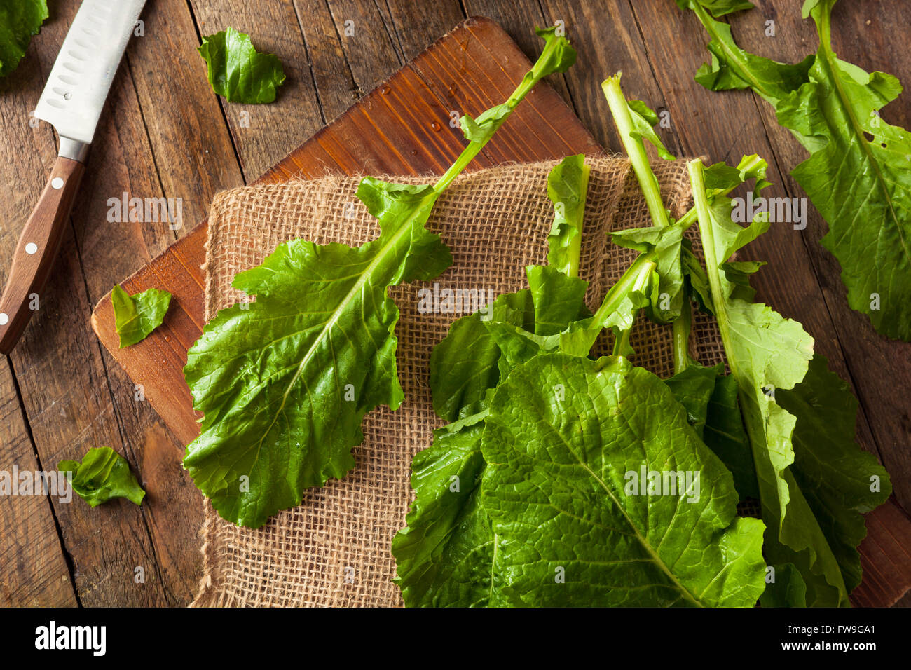 Raw Organic Turnip Greens Ready to Eat Stock Photo Alamy