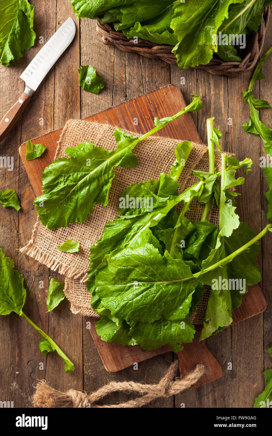 Turnip greens hires stock photography and images Alamy