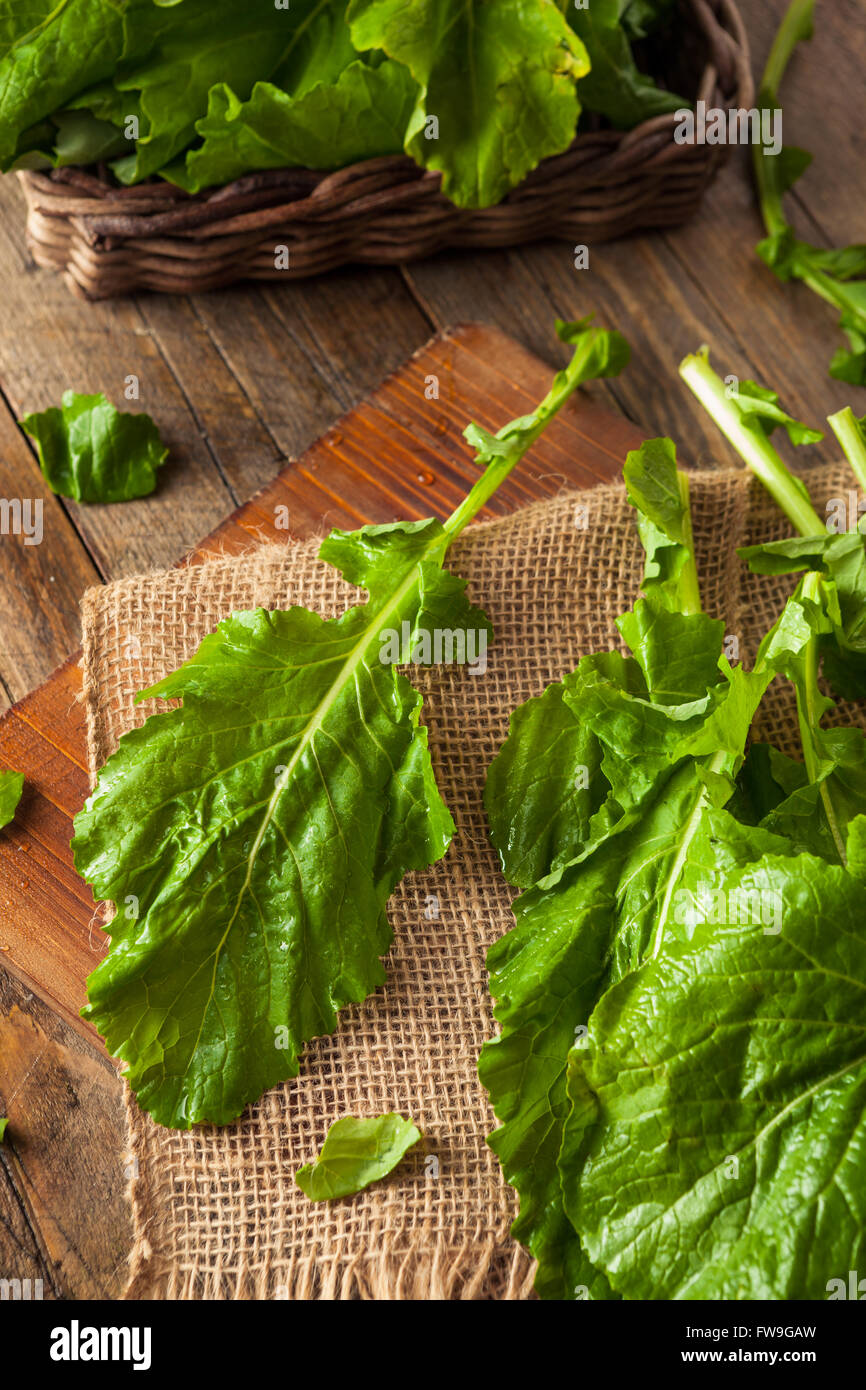 Raw Organic Turnip Greens Ready to Eat Stock Photo Alamy