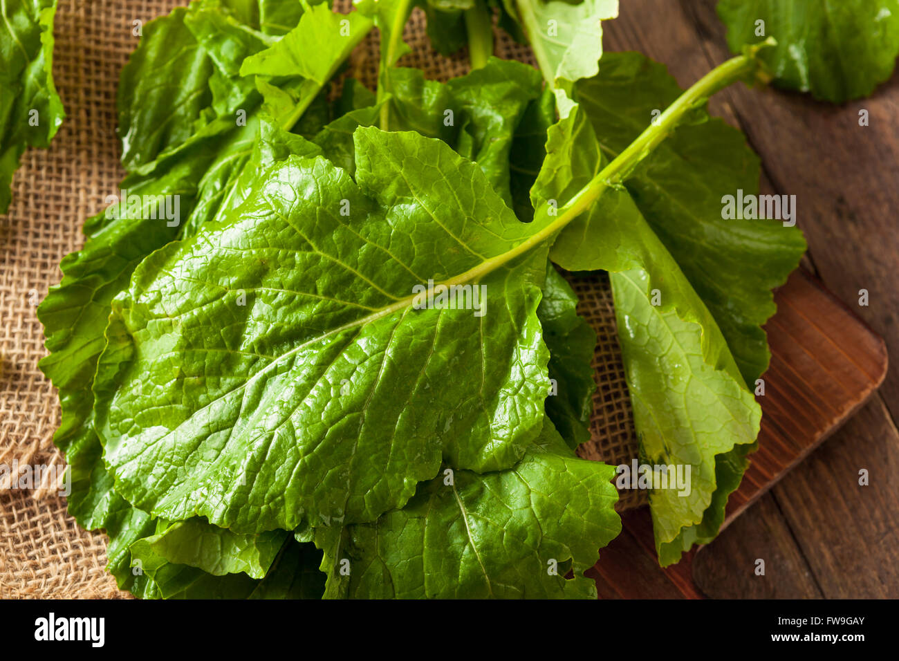 Raw Organic Turnip Greens Ready to Eat Stock Photo