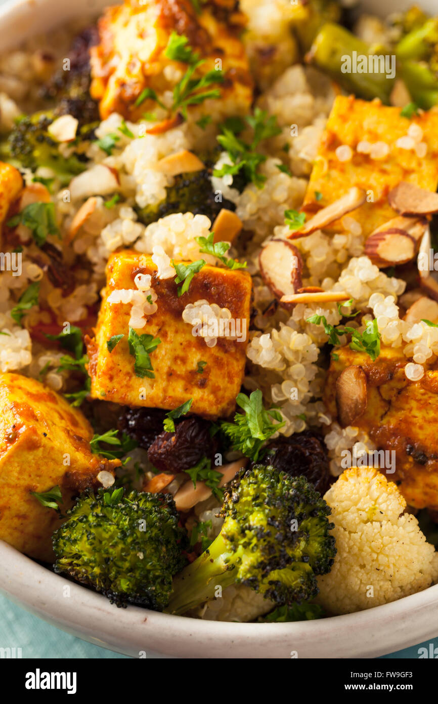 Homemade Quinoa Tofu Bowl with Roasted Veggies and Herbs Stock Photo