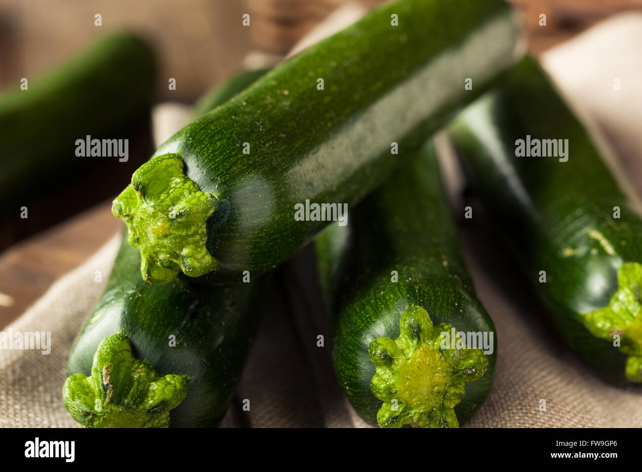 Zucchini squash plant hires stock photography and images Alamy