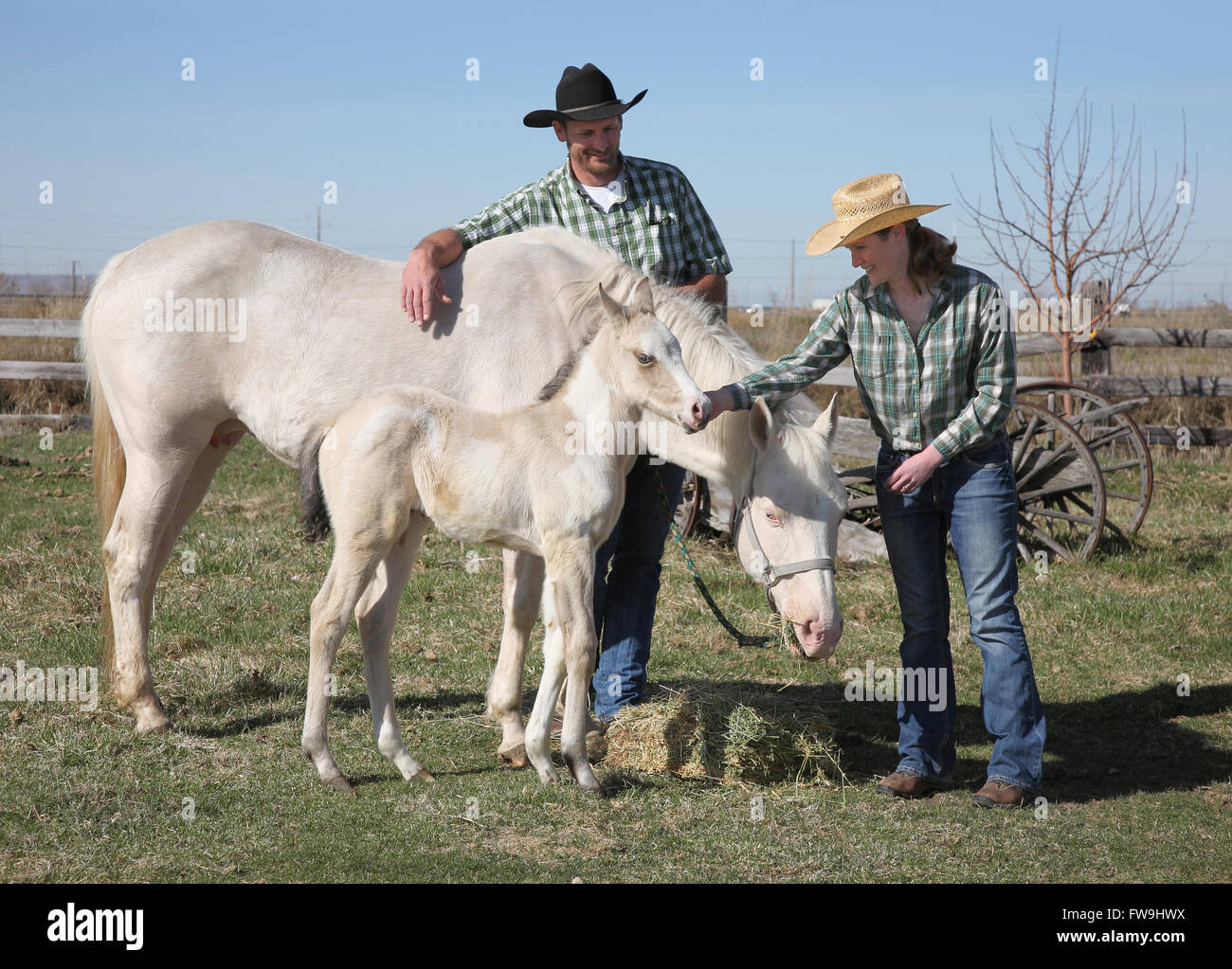happy western cowboy couple outside with white horse and foal Stock Photo
