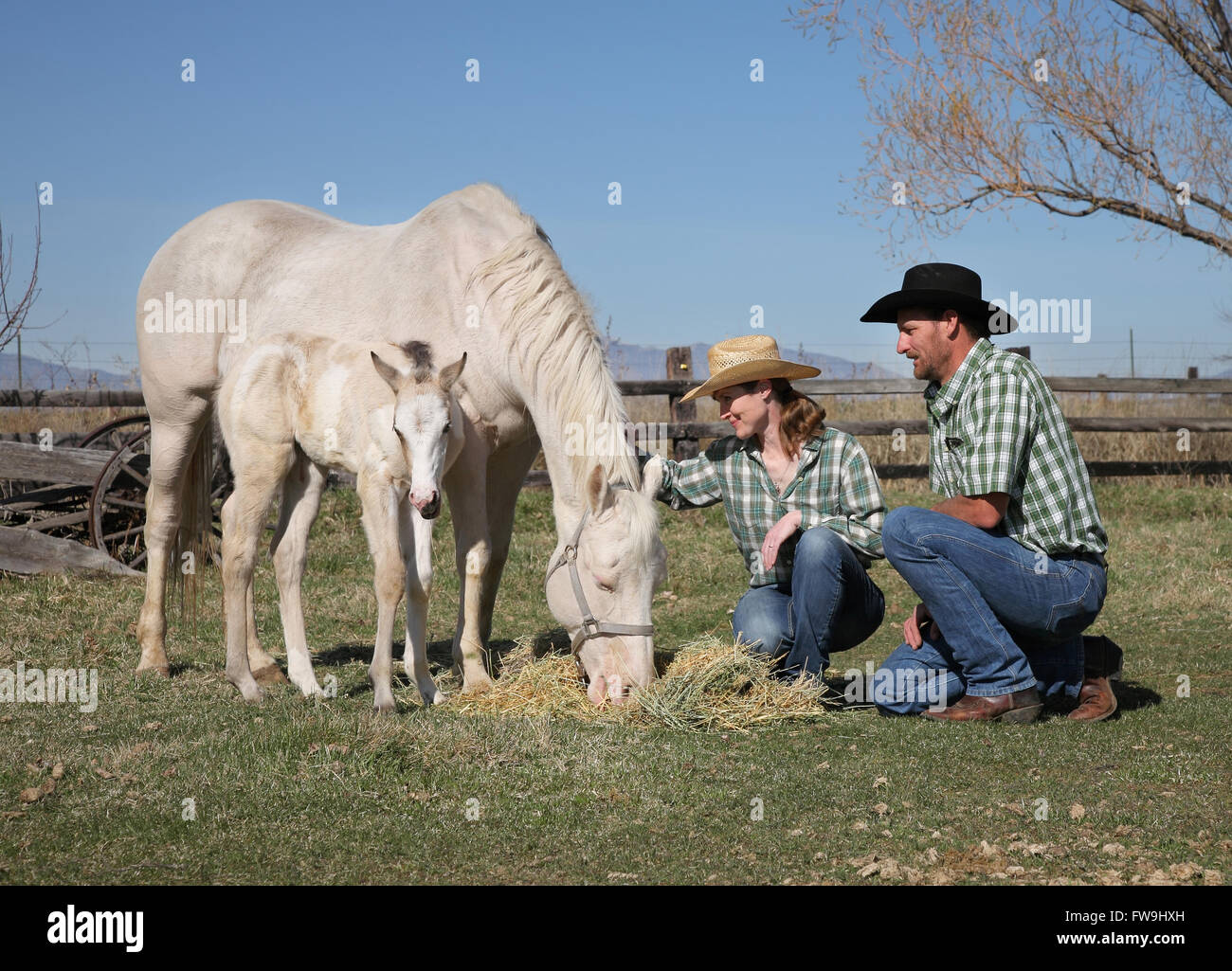 western couple with mother horse and baby foal in a field Stock Photo