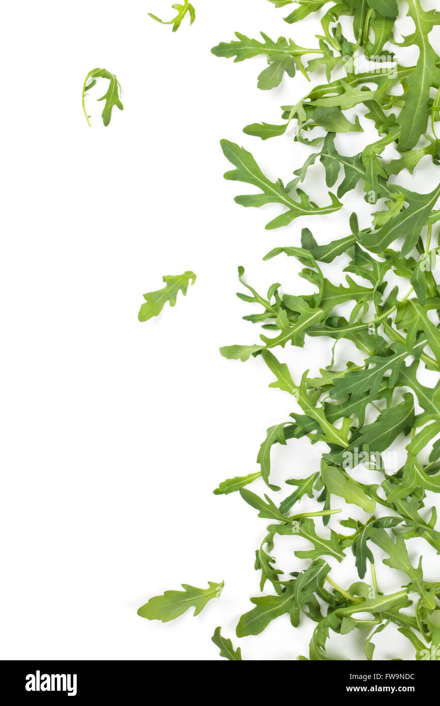 Fresh rocket leaves stock photo alamy