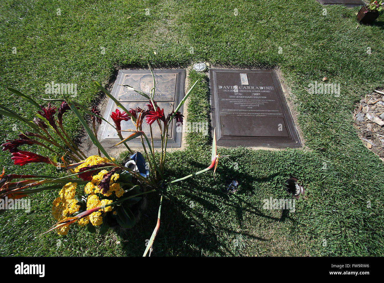 Hollywood Actor Finds Grandfather's Grave in Hungary