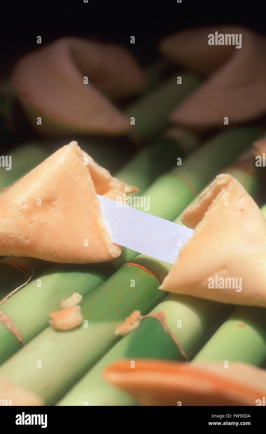 Broken Chinese Fortune Cookie with Blank Message inside Stock Photo