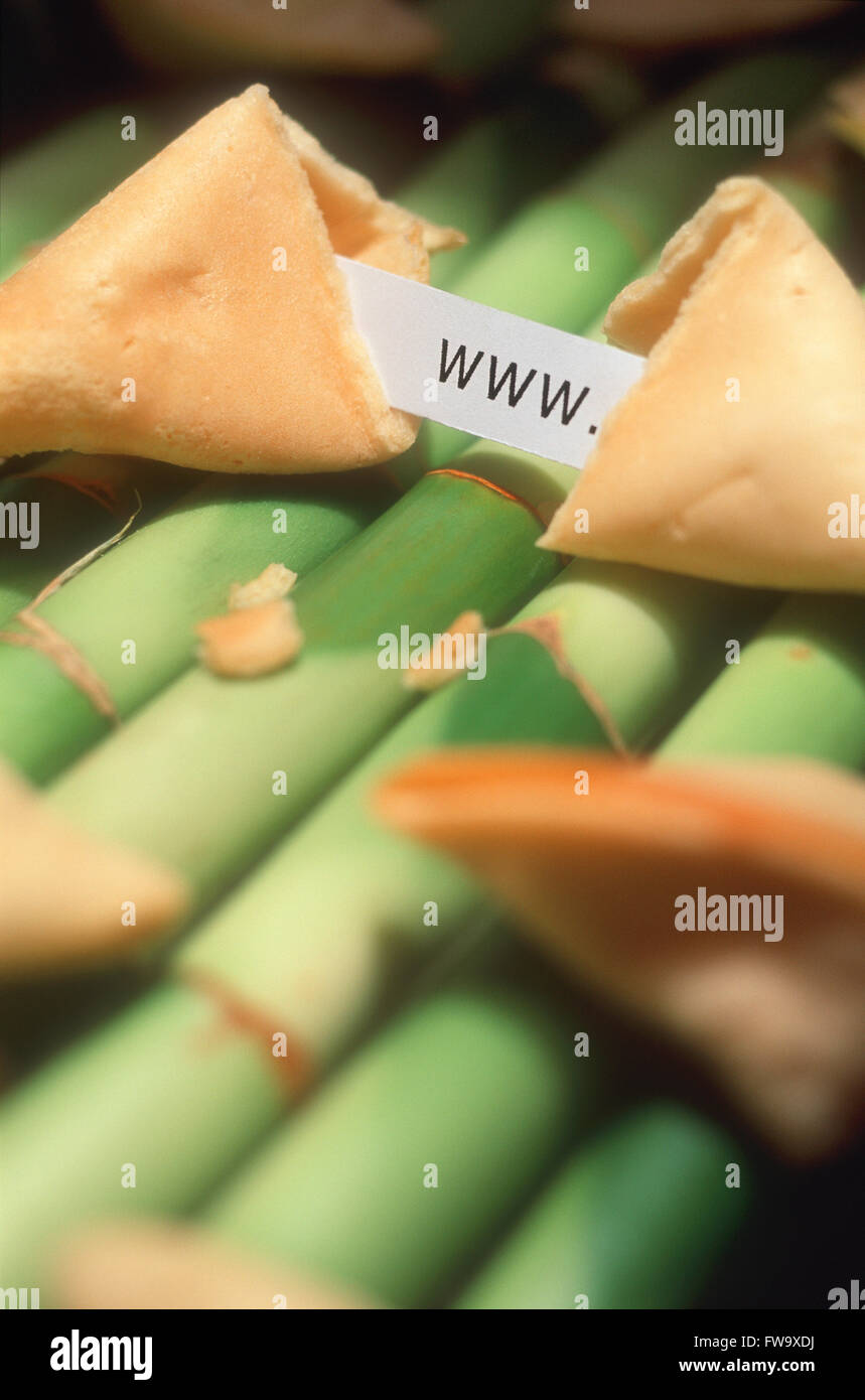 Broken Chinese Fortune Cookie with a 'WWW.' Message inside Stock Photo