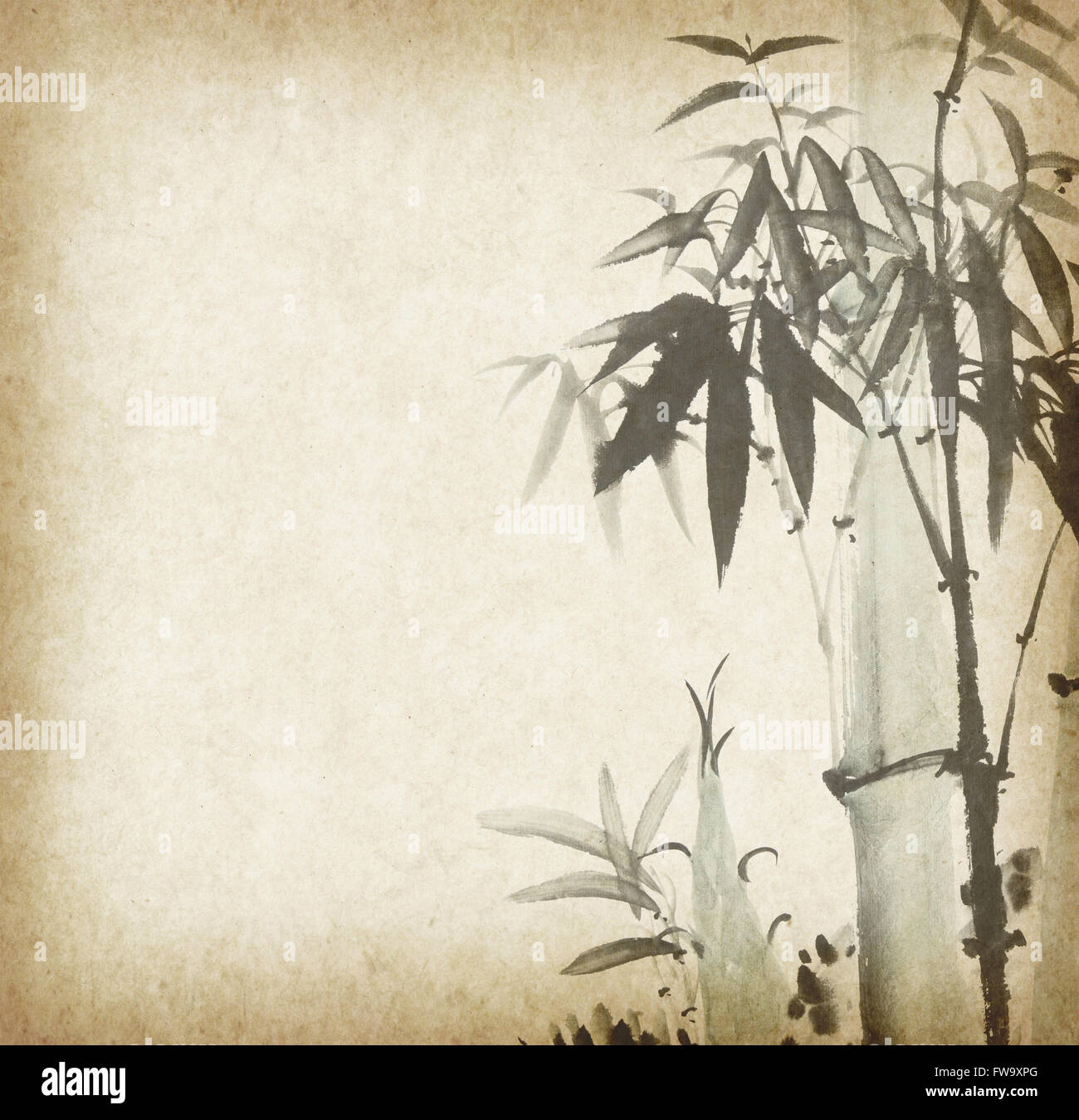 bamboo on old grunge paper texture background Stock Photo