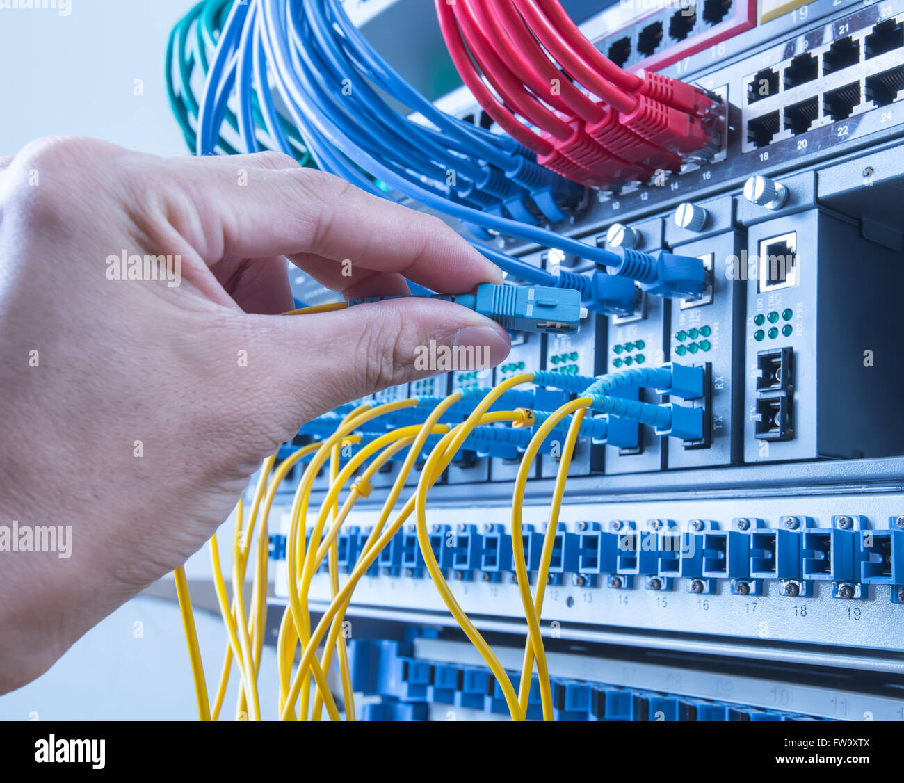 hand of administrator holding optic fiber cables with connectors Stock Photo