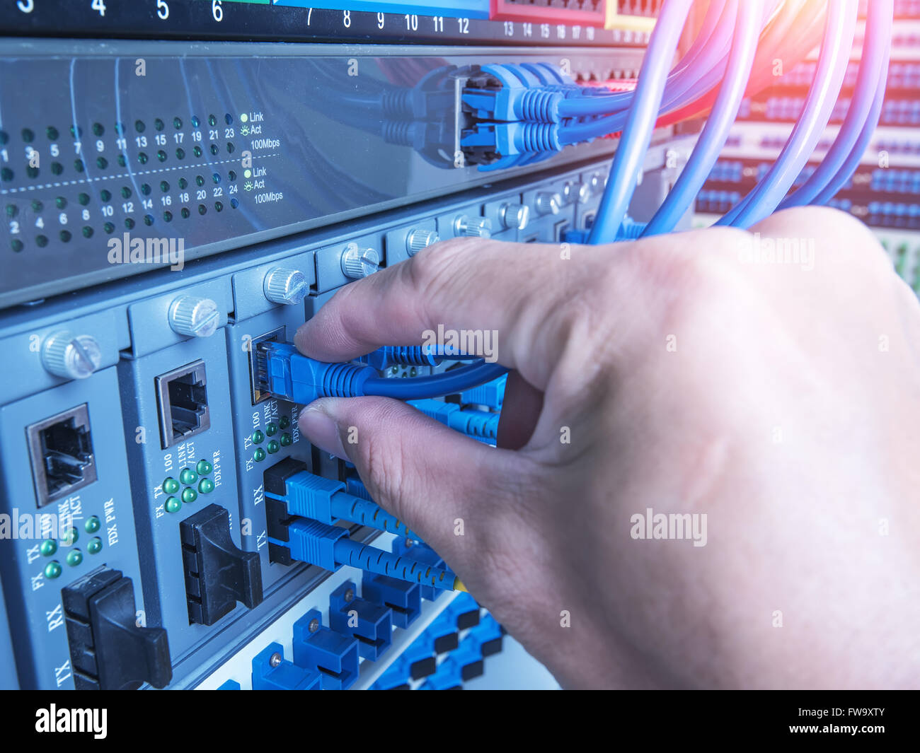 hand of administrator holding optic fiber cables with connectors Stock Photo